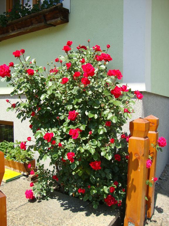 Gruberbauer Remsach Διαμέρισμα Bad Gastein Εξωτερικό φωτογραφία